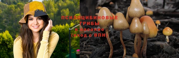 ПСИЛОЦИБИНОВЫЕ ГРИБЫ Беломорск