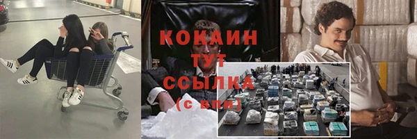 ПСИЛОЦИБИНОВЫЕ ГРИБЫ Беломорск