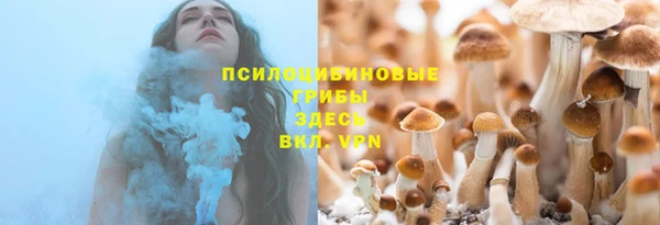 ПСИЛОЦИБИНОВЫЕ ГРИБЫ Беломорск
