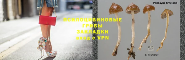 ПСИЛОЦИБИНОВЫЕ ГРИБЫ Беломорск