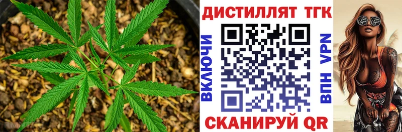 ТГК вейп Купить закладки Злынка
