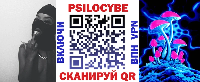 Псилоцибиновые грибы мицелий Купить закладки Злынка